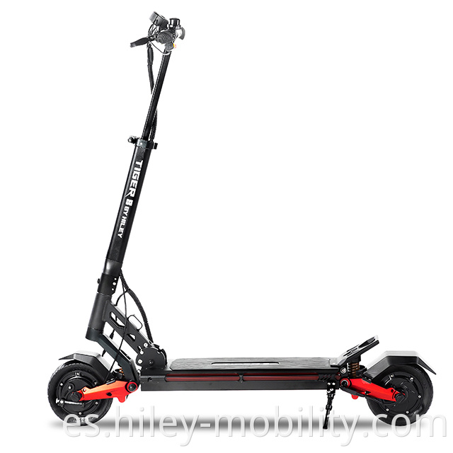 Dual Motor Electric Scooter Off-Road